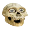 💀