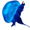 Эмодзи blu.. blue 🪼