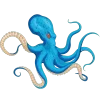 🐙