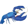 🦞