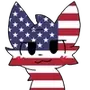 🇺🇸