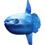 🌊