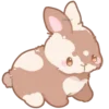 🐰