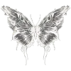 🦋