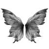 🦋