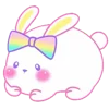 🐇