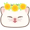 🌼
