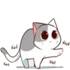 🚶♀️