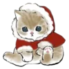 Эмодзи ꒰ ྀི ⸝⸝⸝ ꒱ котики   !!   .  z ᶻ