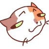 ?