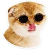 🐈