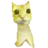 😺