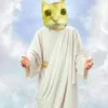 😺