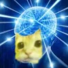 😺