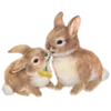 ?