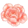 🌸