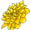 Эмодзи flowers