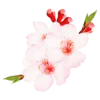 Эмодзи flowers