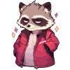 🦝