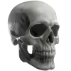 💀