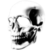 💀