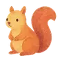 🐿