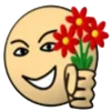 🌺