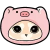 🐽