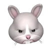 🐰