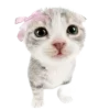 Эмодзи Нежные