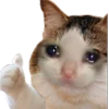 Эмодзи emoji premium