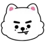🐩