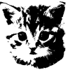 🐱