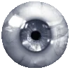 👁