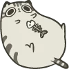 🐱
