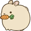 🐰