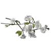 💐