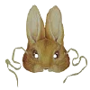 🐰