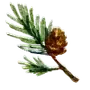 🌲