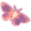 🦋