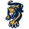 Эмодзи ice hockey