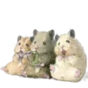 🐹