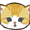 🐱