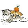 Эмодзи котики