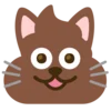 💩