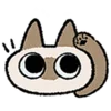 🫡