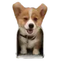 Эмодзи Корги