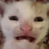 😧