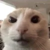 🤨