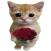 🐈